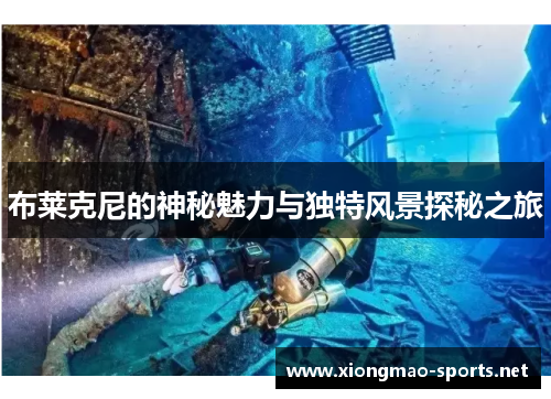 布莱克尼的神秘魅力与独特风景探秘之旅